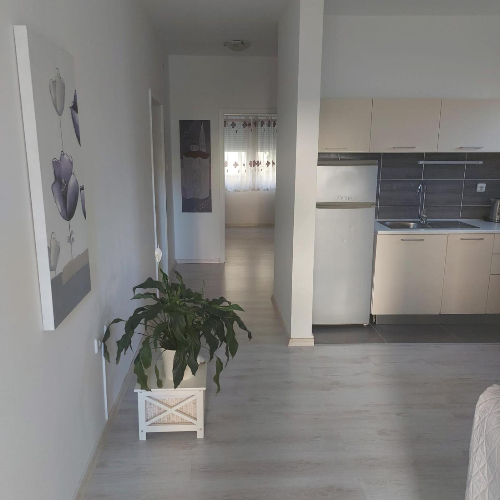 Martina Sun Apartment ザダル エクステリア 写真