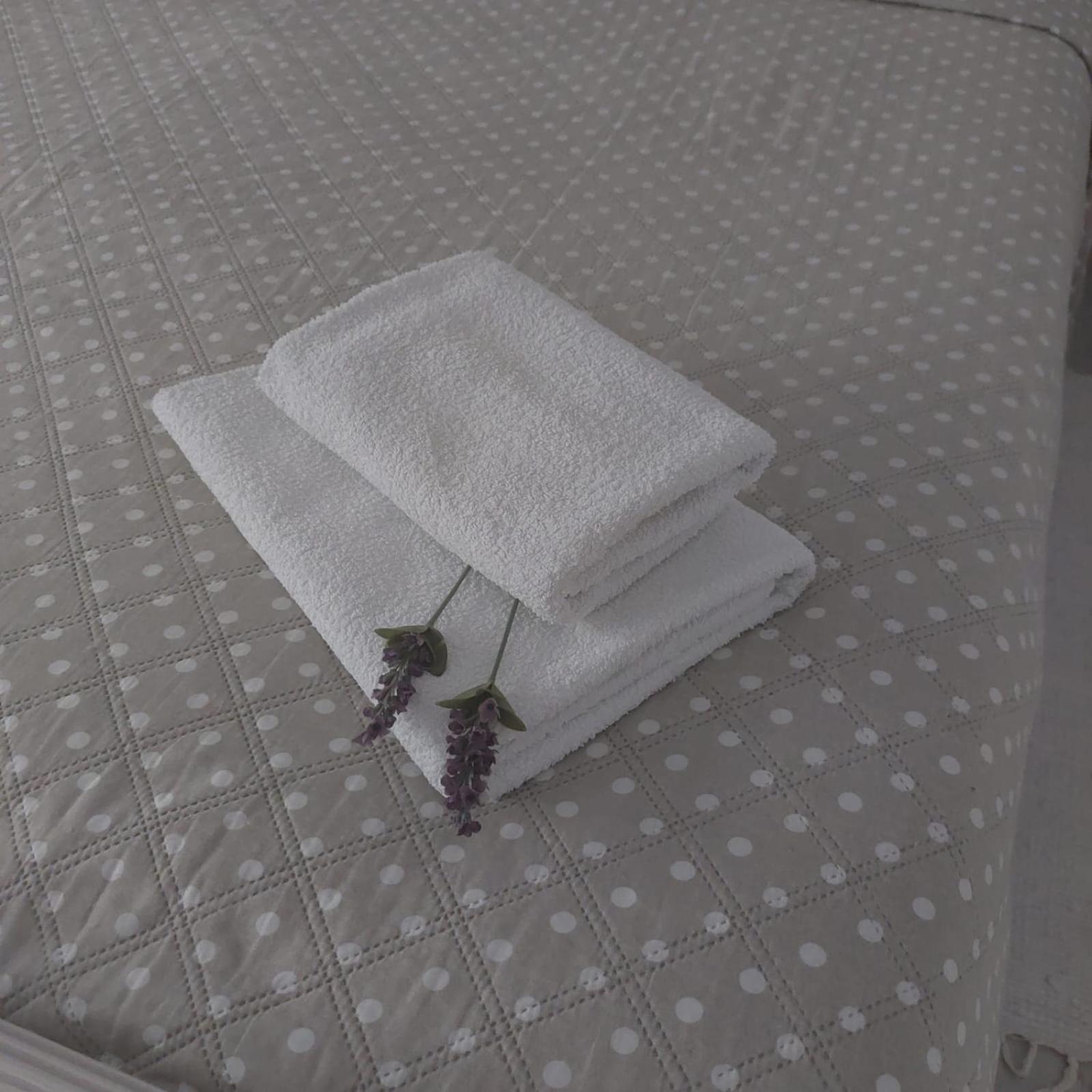 Martina Sun Apartment ザダル エクステリア 写真